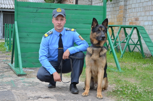 Спаситель по кличке Арчи