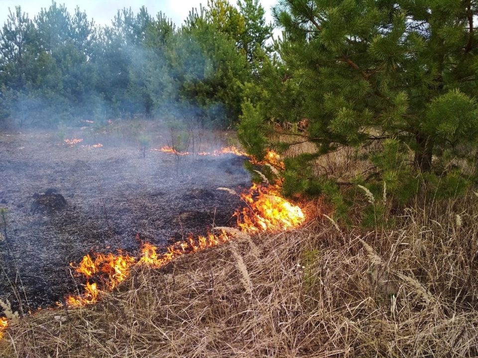 Глусский РОЧС напоминает: сжигание сухой растительности под запретом